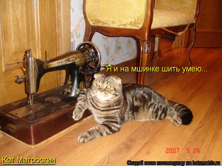 Я и на мшинке шить умею... Кот Матроскин ____________... Котоматрица: Я и на мшинке шить умею... Кот Матроскин ____________