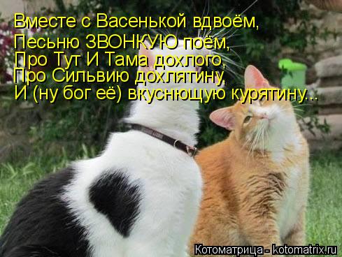 Вместе с Васенькой вдвоём, Песьню ЗВОНКУЮ поём, Про Тут И Тама дохлого, Про Сильвию дохлятину, И (ну ... Котоматрица: Вместе с Васенькой вдвоём, Песьню ЗВОНКУЮ поём, Про Тут И Тама дохлого, Про Сильвию дохлятину, И (ну бог её) вкуснющую курятину...