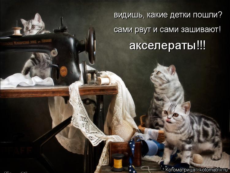 видишь, какие детки пошли? сами рвут и сами зашивают! акселераты!!!... Котоматрица: видишь, какие детки пошли? сами рвут и сами зашивают! акселераты!!!