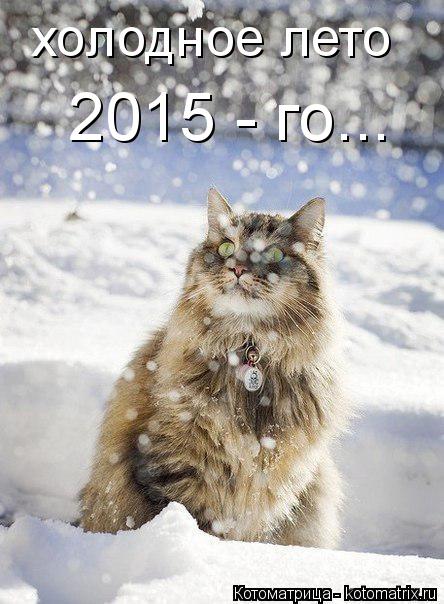 холодное лето 2015 - го...... Котоматрица: холодное лето 2015 - го...