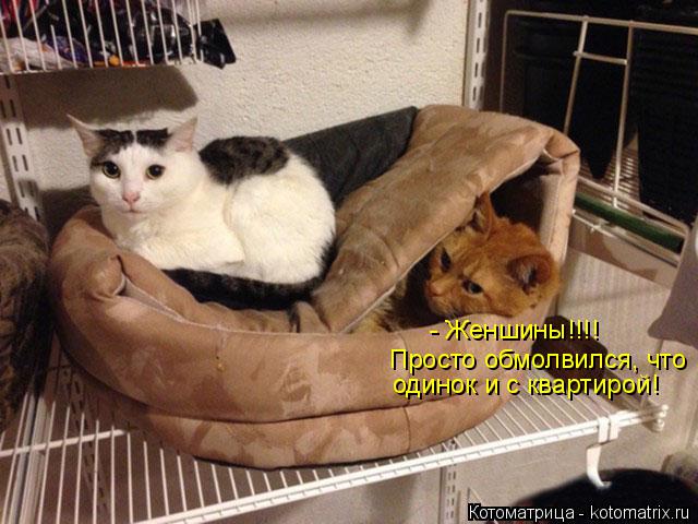 - Женшины!!!! Просто обмолвился, что одинок и с квартирой!... Котоматрица: - Женшины!!!! Просто обмолвился, что одинок и с квартирой!