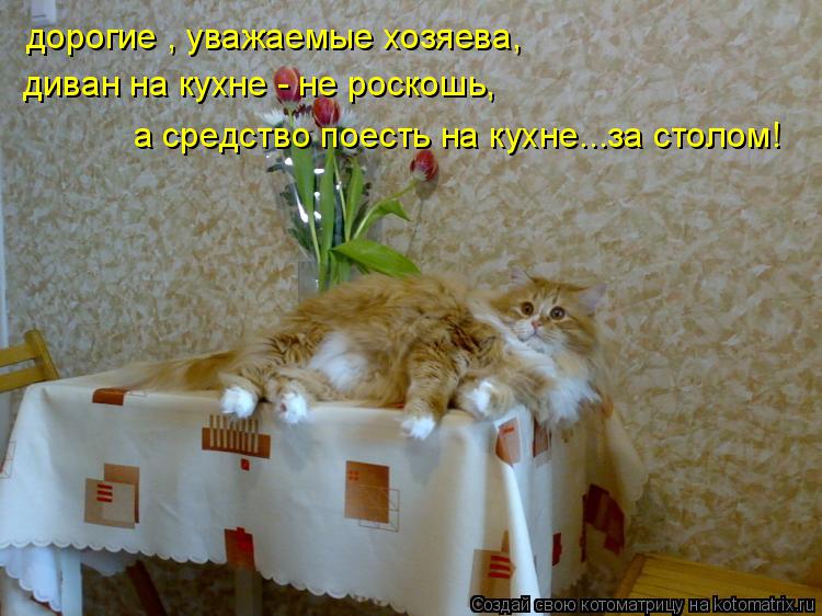 дорогие , уважаемые хозяева, диван на кухне - не роскошь, а средство поесть на кухне...за столом!... Котоматрица: дорогие , уважаемые хозяева, диван на кухне - не роскошь, а средство поесть на кухне...за столом!