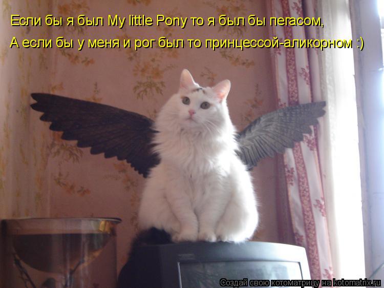 Если бы я был My littlе Pony то я был бы пегасом, А если бы у меня и рог был то принцессой-аликорном ... Котоматрица: Если бы я был My littlе Pony то я был бы пегасом, А если бы у меня и рог был то принцессой-аликорном :)