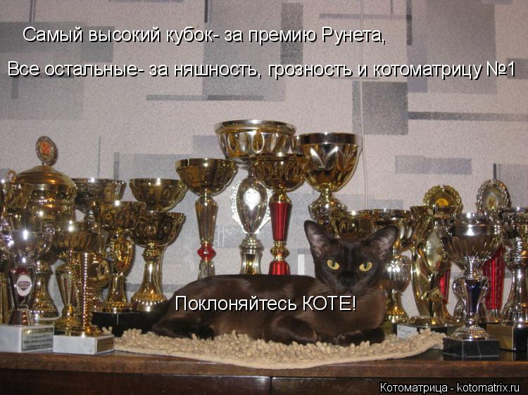 Самый высокий кубок- за премию Рунета, Все остальные- за няшность, грозность и котоматрицу №1 Поклоня... Котоматрица: Самый высокий кубок- за премию Рунета, Все остальные- за няшность, грозность и котоматрицу №1 Поклоняйтесь КОТЕ!