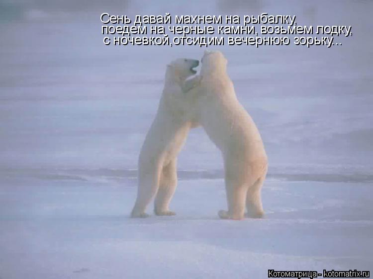 Сень давай махнем на рыбалку, поедем на черные камни, возьмем лодку, c ночевкой,отсидим вечернюю зорь... Котоматрица: Сень давай махнем на рыбалку, поедем на черные камни, возьмем лодку, c ночевкой,отсидим вечернюю зорьку...