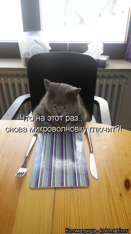 -Что на этот раз.. снова микроволновку глючит?!... Котоматрица: -Что на этот раз.. снова микроволновку глючит?!