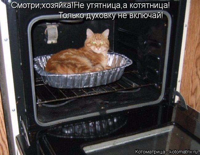 Смотри,хозяйка!Не утятница,а котятница! Только духовку не включай!... Котоматрица: Смотри,хозяйка!Не утятница,а котятница! Только духовку не включай!