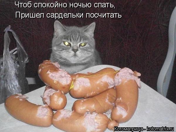 Чтоб спокойно ночью спать, Пришел сардельки посчитать... Котоматрица: Чтоб спокойно ночью спать, Пришел сардельки посчитать