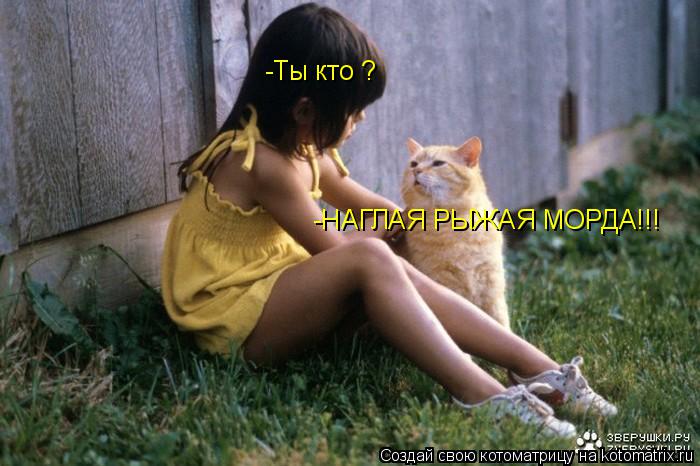 -Ты кто ? -НАГЛАЯ РЫЖАЯ МОРДА!!!... Котоматрица: -Ты кто ? -НАГЛАЯ РЫЖАЯ МОРДА!!!
