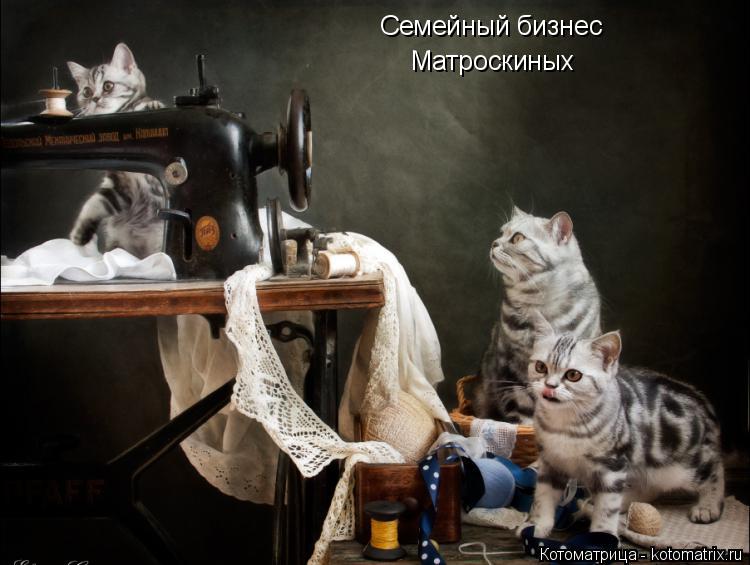 Семейный бизнес Матроскиных... Котоматрица: Семейный бизнес Матроскиных