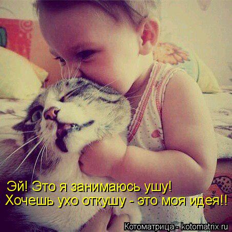 Эй! Это я занимаюсь ушу! Хочешь ухо откушу - это моя идея!!... Котоматрица: Эй! Это я занимаюсь ушу! Хочешь ухо откушу - это моя идея!!