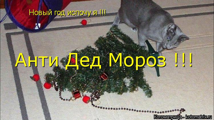 Новый год испочу я !!! Анти Дед Мороз !!!... Котоматрица: Новый год испочу я !!! Анти Дед Мороз !!!