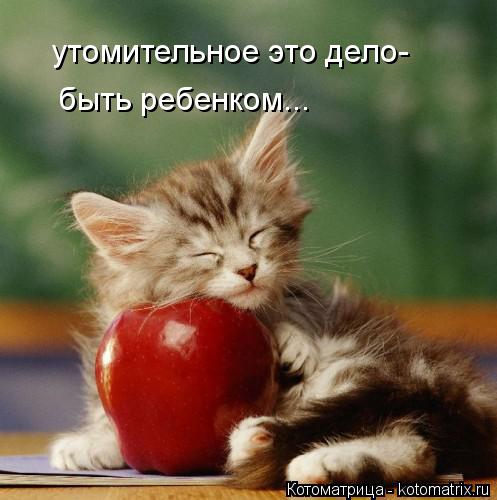 утомительное это дело- быть ребенком...... Котоматрица: утомительное это дело- быть ребенком...