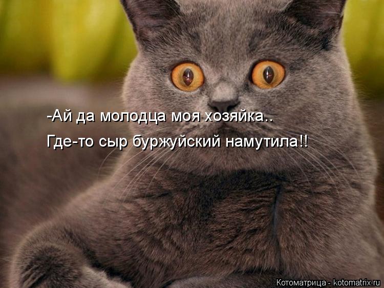 -Ай да молодца моя хозяйка.. Где-то сыр буржуйский намутила!!... Котоматрица: -Ай да молодца моя хозяйка.. Где-то сыр буржуйский намутила!!