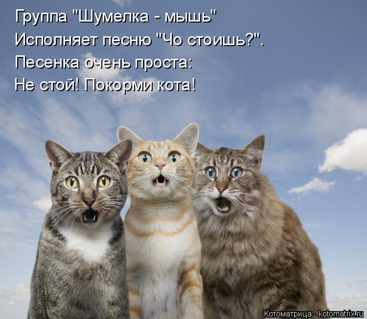 Группа "Шумелка - мышь" Исполняет песню "Чо стоишь?". Песенка очень проста: Не стой! Покорми кота!... Котоматрица: Группа "Шумелка - мышь" Исполняет песню "Чо стоишь?". Песенка очень проста: Не стой! Покорми кота!