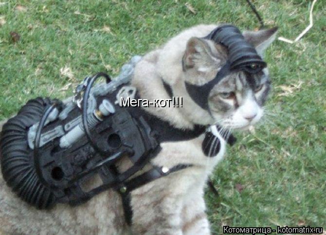 Мега-кот!!!... Котоматрица: Мега-кот!!!