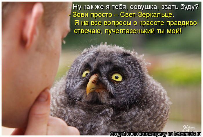 - Ну как же я тебя, совушка, звать буду? - Зови просто – Свет-Зеркальце. Я на все вопросы о красоте ... Котоматрица: - Ну как же я тебя, совушка, звать буду? - Зови просто – Свет-Зеркальце. Я на все вопросы о красоте правдиво отвечаю, пучеглазенький ты мой!