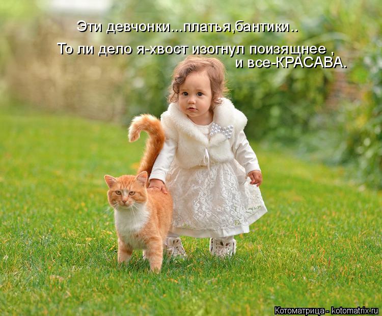 Эти девчонки...платья,бантики.. То ли дело я-хвост изогнул поизящнее , и все-КРАСАВА.... Котоматрица: Эти девчонки...платья,бантики.. То ли дело я-хвост изогнул поизящнее , и все-КРАСАВА.