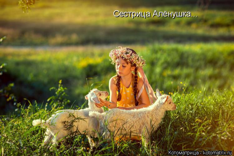 Сестрица Алёнушка...... Котоматрица: Сестрица Алёнушка...