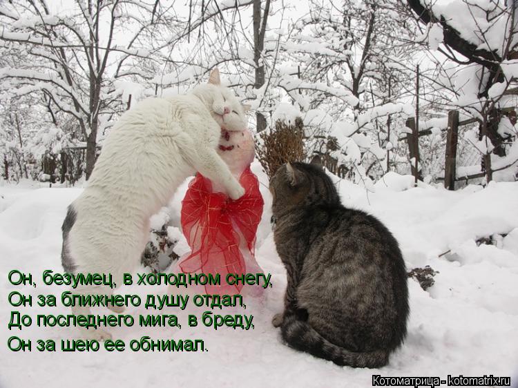 Он, безумец, в холодном снегу, Он за ближнего душу отдал, До последнего мига, в бреду, Он за шею ее о... Котоматрица: Он, безумец, в холодном снегу, Он за ближнего душу отдал, До последнего мига, в бреду, Он за шею ее обнимал.