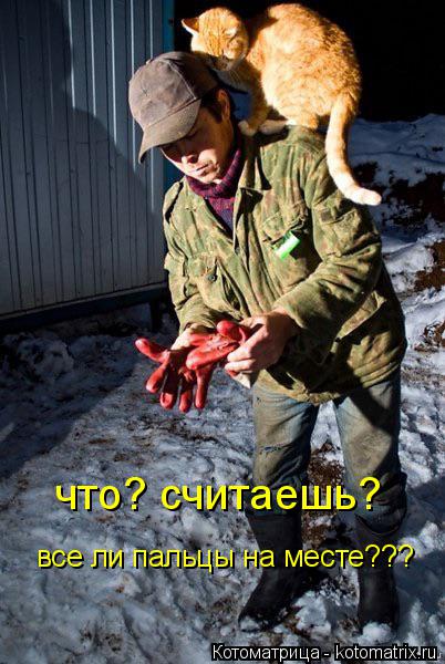 что? считаешь? все ли пальцы на месте???... Котоматрица: что? считаешь? все ли пальцы на месте???