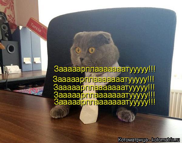 Зааааарплааааааатууууу!!! Зааааарплааааааатууууу!!! Зааааарплааааааатууууу!!! Зааааарплааааааатууууу!... Котоматрица: Зааааарплааааааатууууу!!! Зааааарплааааааатууууу!!! Зааааарплааааааатууууу!!! Зааааарплааааааатууууу!!! Зааааарплааааааатууууу!!!