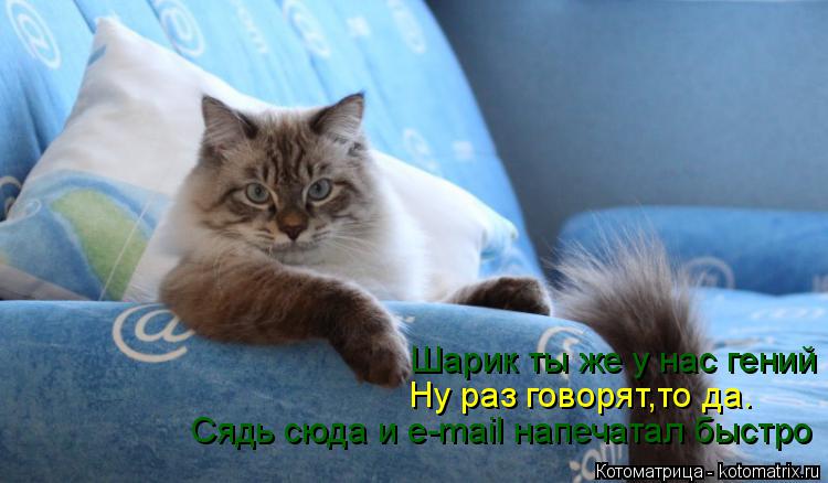 Ну раз говорят,то да. Шарик ты же у нас гений Сядь сюда и e-mail напечатал быстро... Котоматрица: Ну раз говорят,то да. Шарик ты же у нас гений Сядь сюда и e-mail напечатал быстро