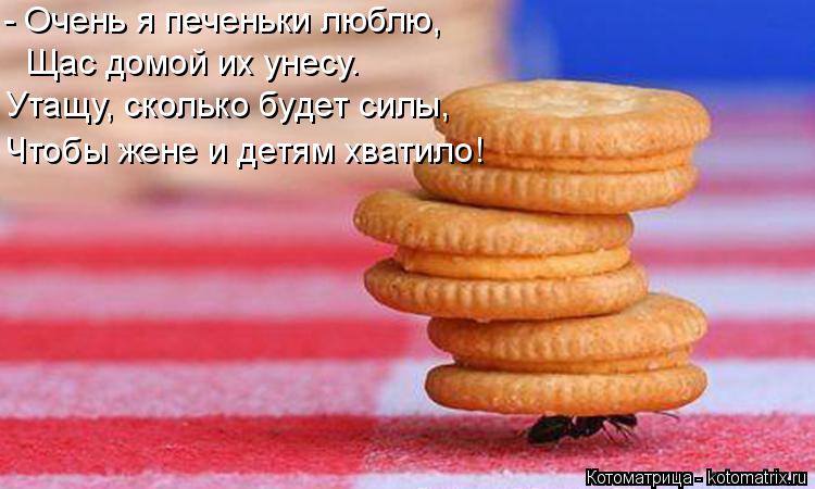 - Очень я печеньки люблю, Щас домой их унесу. Утащу, сколько будет силы, Чтобы жене и детям хватило!... Котоматрица: - Очень я печеньки люблю, Щас домой их унесу. Утащу, сколько будет силы, Чтобы жене и детям хватило!