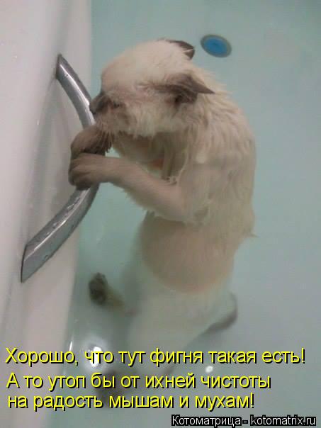 Хорошо, что тут фигня такая есть! А то утоп бы от ихней чистоты на радость мышам и мухам!... Котоматрица: Хорошо, что тут фигня такая есть! А то утоп бы от ихней чистоты на радость мышам и мухам!