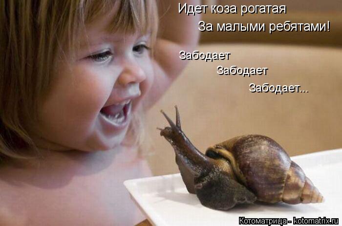 Идет коза рогатая За малыми ребятами! Забодает Забодает Забодает...... Котоматрица: Идет коза рогатая За малыми ребятами! Забодает Забодает Забодает...