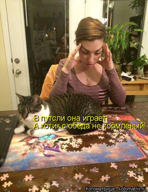 А котик с обеда не кормленый! В путсли она играет!... Котоматрица: А котик с обеда не кормленый! В путсли она играет!