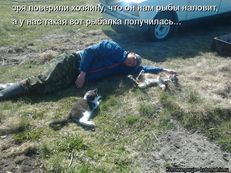 Котоматрица: зря поверили хозяину, что он нам рыбы наловит, а у нас такая вот рыбалка получилась...