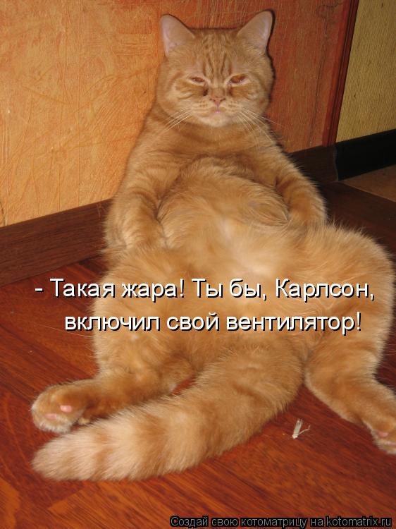 - Такая жара! Ты бы, Карлсон, включил свой вентилятор!... Котоматрица: - Такая жара! Ты бы, Карлсон, включил свой вентилятор!