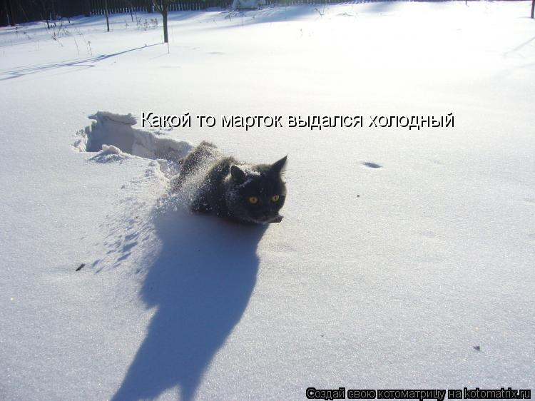 Какой то марток выдался холодный... Котоматрица: Какой то марток выдался холодный
