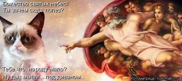 Божество святых небес! Ты зачем сюда полез? Тебе что, народу мало? Ну дык мыши... под диваном...... Котоматрица: Божество святых небес! Ты зачем сюда полез? Тебе что, народу мало? Ну дык мыши... под диваном...