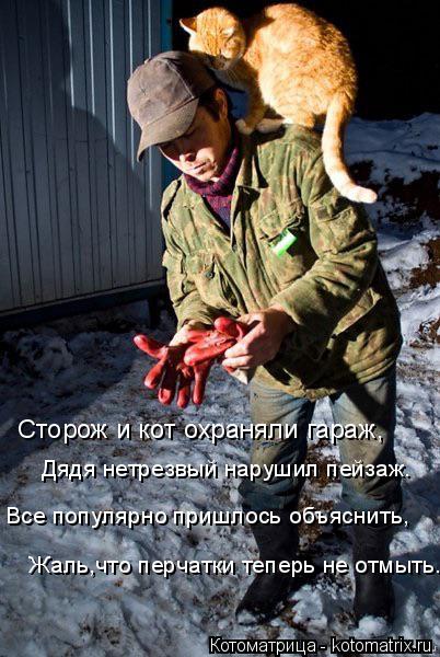 Дядя нетрезвый нарушил пейзаж. Все популярно пришлось объяснить, Жаль,что перчатки теперь не отмыть. ... Котоматрица: Дядя нетрезвый нарушил пейзаж. Все популярно пришлось объяснить, Жаль,что перчатки теперь не отмыть. Сторож и кот охраняли гараж,