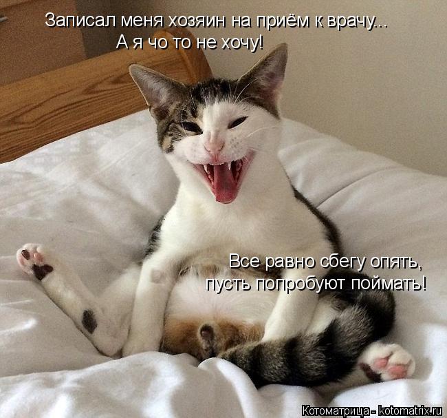 Записал меня хозяин на приём к врачу... А я чо то не хочу! Все равно сбегу опять, пусть попробуют пой... Котоматрица: Записал меня хозяин на приём к врачу... А я чо то не хочу! Все равно сбегу опять, пусть попробуют поймать!