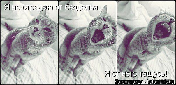 Я не страдаю от безделья... Я от него тащусь!... Котоматрица: Я не страдаю от безделья... Я от него тащусь!