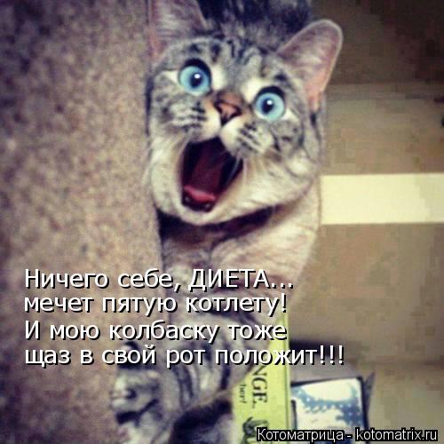 Ничего себе, ДИЕТА... мечет пятую котлету! И мою колбаску тоже щаз в свой рот положит!!!... Котоматрица: Ничего себе, ДИЕТА... мечет пятую котлету! И мою колбаску тоже щаз в свой рот положит!!!
