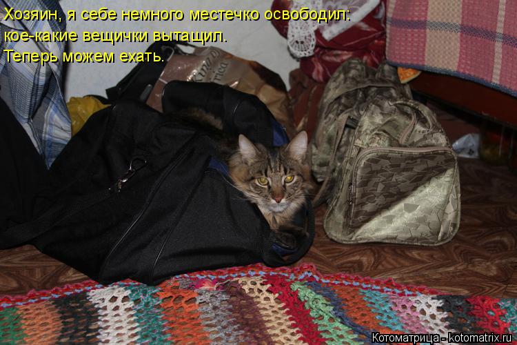 Котоматрица: Хозяин, я себе немного местечко освободил: кое-какие вещички вытащил. Теперь можем ехать.