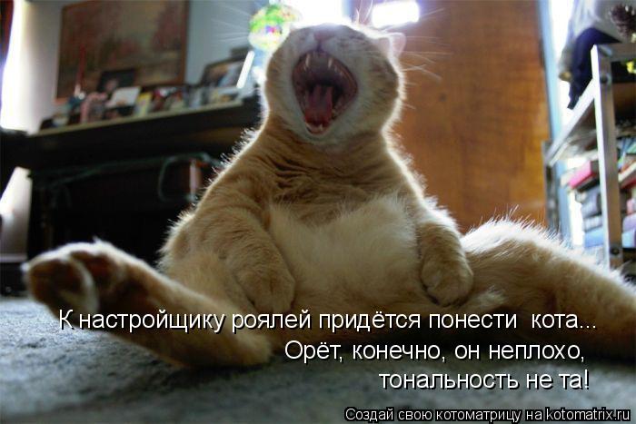 К настройщику роялей придётся понести кота... Орёт, конечно, он неплохо, тональность не та!... Котоматрица: К настройщику роялей придётся понести кота... Орёт, конечно, он неплохо, тональность не та!