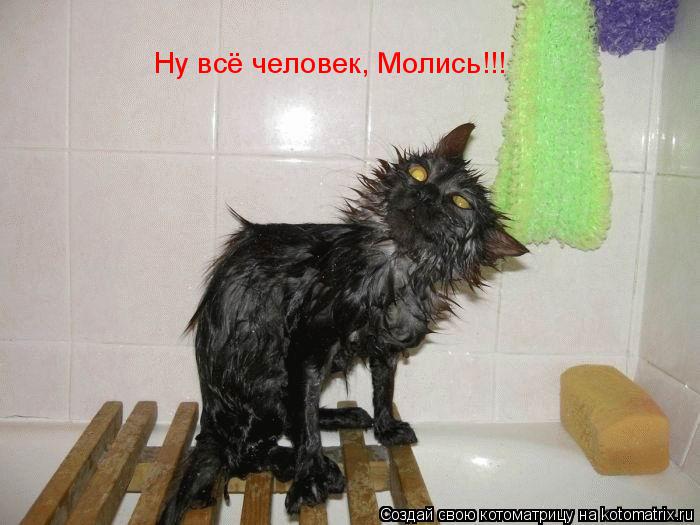 Котоматрица: Ну всё человек, Молись!!!