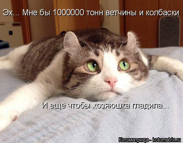 Котоматрица: Эх... Мне бы 1000000 тонн ветчины и колбаски И ещё чтобы хозяюшка гладила...