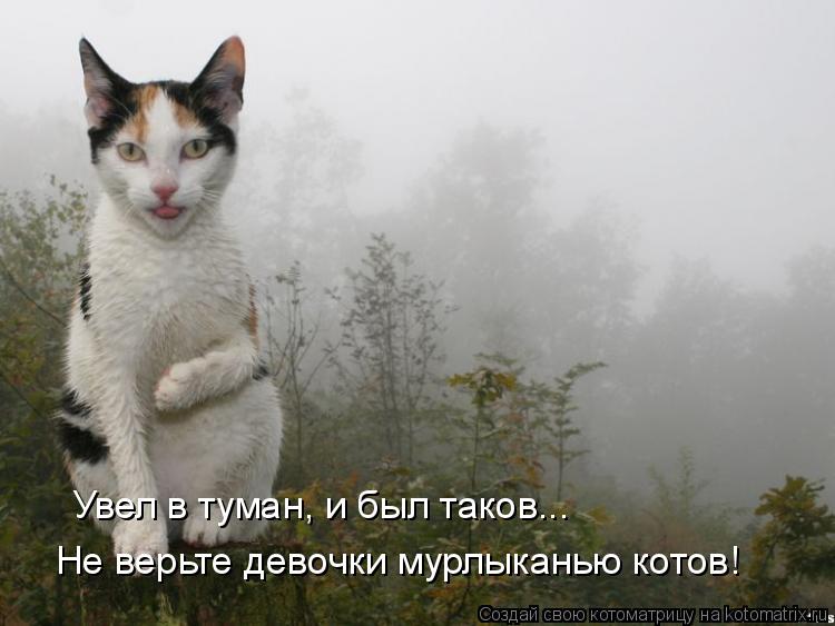 Котоматрица: Увел в туман, и был таков... Не верьте девочки мурлыканью котов!