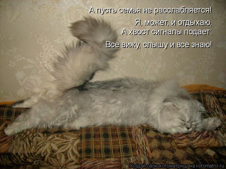 Котоматрица: А пусть семья не расслабляется! Я, может, и отдыхаю, А хвост сигналы подает:  Все вижу, слышу и все знаю!