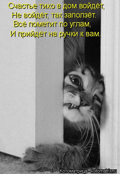 Счастье тихо в дом войдёт, Не войдёт, так заползёт. Всё пометит по углам, И прийдёт на ручки к вам.... Котоматрица: Счастье тихо в дом войдёт, Не войдёт, так заползёт. Всё пометит по углам, И прийдёт на ручки к вам.