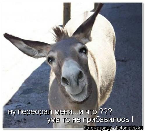 ну переорал меня...и что ??? ума то не прибавилось !... Котоматрица: ну переорал меня...и что ??? ума то не прибавилось !