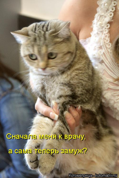 Сначала меня к врачу, а сама теперь замуж?... Котоматрица: Сначала меня к врачу, а сама теперь замуж?