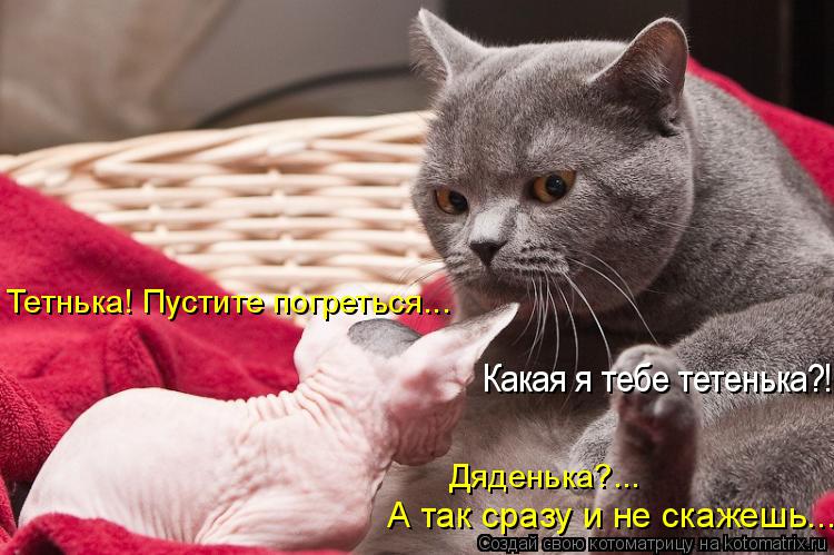 Тетнька! Пустите погреться... Какая я тебе тетенька?!! Дяденька?... А так сразу и не скажешь...... Котоматрица: Тетнька! Пустите погреться... Какая я тебе тетенька?!! Дяденька?... А так сразу и не скажешь...