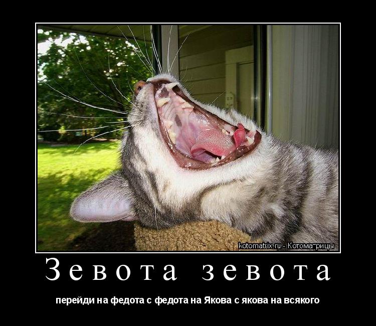 Зевота зевота перейди на федота с федота на Якова с якова на всякого... Котоматрица: Зевота зевота перейди на федота с федота на Якова с якова на всякого